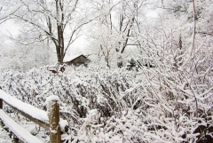 Winter's Barn