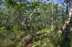 Hiking Trail