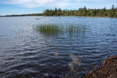 Abraham Lake Nature Reserve, Nova Scotia