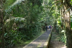 Walk to Sani Lodge - Napo River, Ecuador