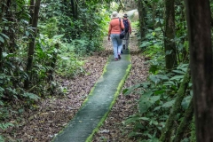Path to Clay Lick - Napo River, Ecuador