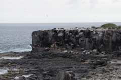 Bird Cliff - Espanola, Galapagos Islands
