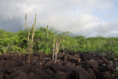 Galapagos Islands, San Cristobal