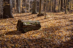 SpringwaterConservation, Nov. 06, 2016