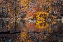 SpringwaterConservation, Nov. 06, 2016