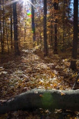 SpringwaterConservation, Nov. 06, 2016