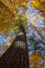 SpringwaterConservation, Nov. 06, 2016