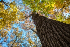 SpringwaterConservation, Nov. 06, 2016