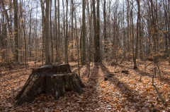 SpringwaterConservation, Nov. 15, 2014