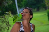 Red-lored Parrot and Lodge host Susan, Costa Rica