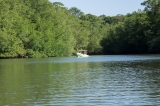 Rio Escinas - Mangrove Forest, Costa Rica