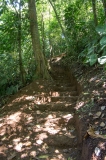 Saladero Rainforest Trail, Piedras Blancas National Park, Costa Rica