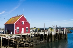 Cape Forchu