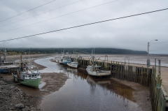 Advocate Harbour