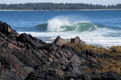 Gaff Point Conservation Area