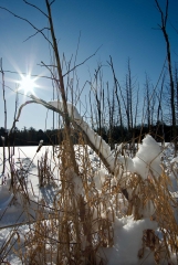 King Township, Ontario