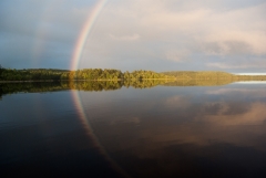 360 degree Rainbow