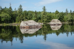 Glacial Erratics