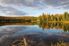 Moffat Pond