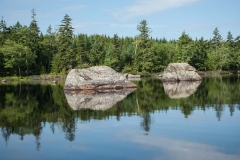 Glacial Erratics