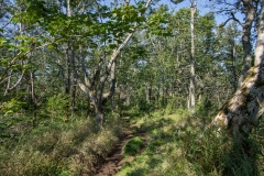 Hiking Trail
