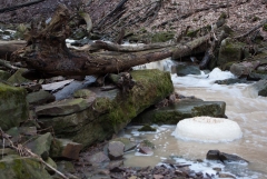 Louth Falls