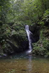 Water Falls