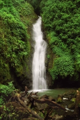 Concord Falls