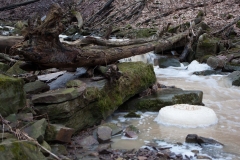 Louth Falls