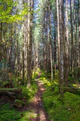 Abraham Lake Nature Reserve, Nova Scotia
