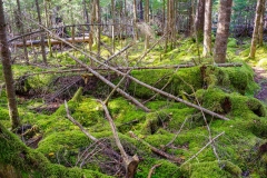 Abraham Lake Nature Reserve, Nova Scotia