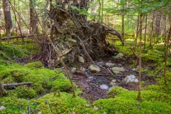 Abraham Lake Nature Reserve, Nova Scotia