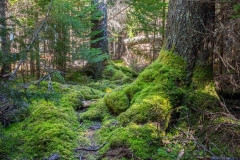Abraham Lake Nature Reserve, Nova Scotia