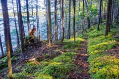 Abraham Lake Nature Reserve, Nova Scotia