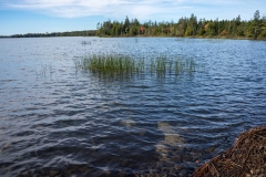 Abraham Lake Nature Reserve, Nova Scotia