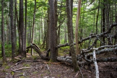 Molega Lake, Nova Scotia
