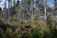 Thomas Raddall Park, Nova Scotia