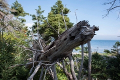 Thomas Raddall Park, Nova Scotia