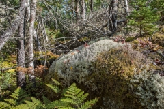 Thomas Raddall Park, Nova Scotia