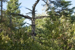 Thomas Raddall Park, Nova Scotia