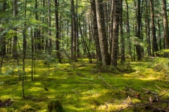 LaHave River, Nova Scotia