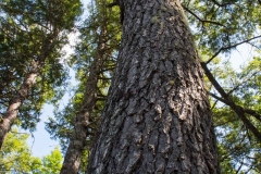 Knox Conservation, Molega Lake, Nova Scotia