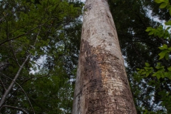 Knox Conservation, Molega Lake, Nova Scotia