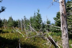 Gaff Point, Lunenberg, N. S.