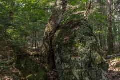 Knox Conservation, Molega Lake, NS,