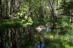 Knox Conservation, Molega Lake, NS,