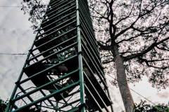 Canopy Tower - Napo River, Ecuador