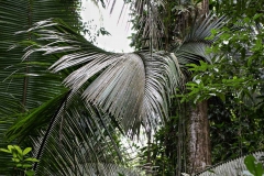 Belize