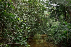 Belize