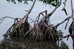 Placencia, Belize